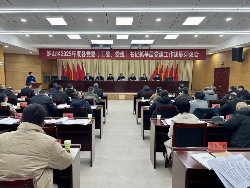 蚌山区召开2025年度党委（工委、党组）书记抓基层党建工作述职评议会